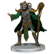 Undead Armies - Skeletons (Icons of the Realms)