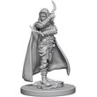Human Female Rogue - Pathfinder