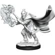 Hobgoblin Wizard & Druid Male - Critical Role
