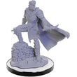 Xhorhasian Mage & Xhorhasian Prowler - Critical Role