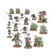 Spearhead: Maggotkin of Nurgle – Bubonic Cell