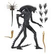 Alien: Romulus Action Figure Ultimate Xenomorph XX121 18 cm