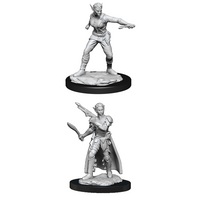 Shifter Female Rogue (Nolzur)