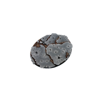 Ruins Bases, Oval 120mm (1)