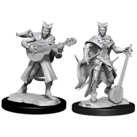 Tiefling Bard Female Nolzur