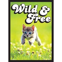 Legion Double Matte Art Sleeves Kitten - Black Core