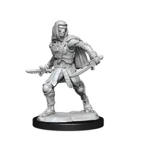 Warforged Rogue (Nolzur)