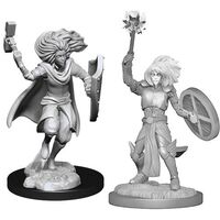 Changeling Cleric (Nolzur)