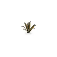 Laser Plants - Agave
