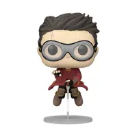 Funko POP! HARRY POTTER ON BROOM (QUIDDITCH) #165