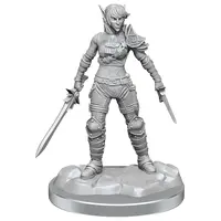 Elf Rogue & Half-Elf Rogue Protege - Nolzur Primed