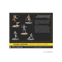 Star Wars: Shatterpoint: Requesting your Surrender