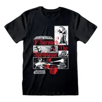 Dungeons & Dragons T-Shirt I Survived The Spellplague L