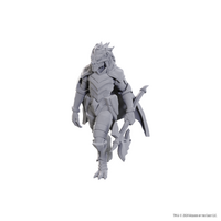 Dragonborn of Tiamat - Nolzur