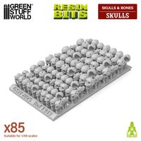 Resin Skulls (100)