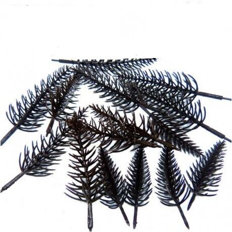 Pine Tree Truncks (15)