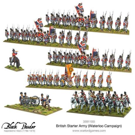 Napoleonic British Starter Army (Waterloo campaign)