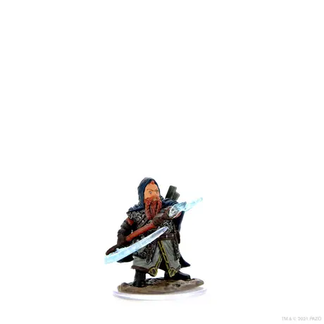 Male Dwarf Sorcerer Premium (Pathfinder)