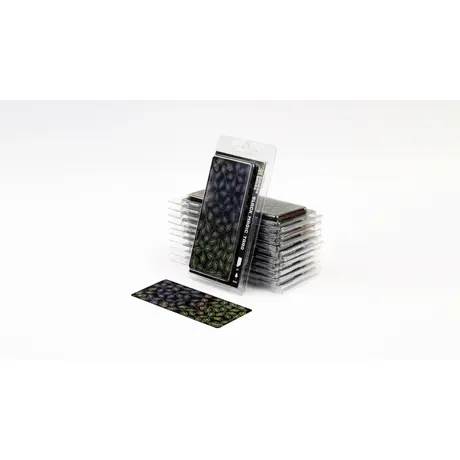 Laser Plants - Black Magic Taro