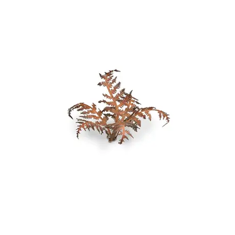 Laser Plants - Dry Bracken