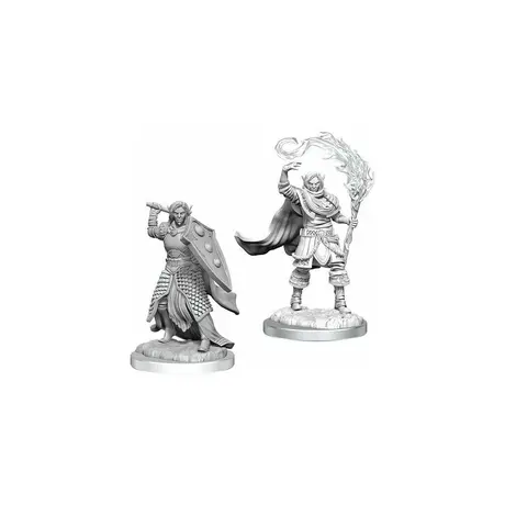 Elf Cleric Male - Nolzur