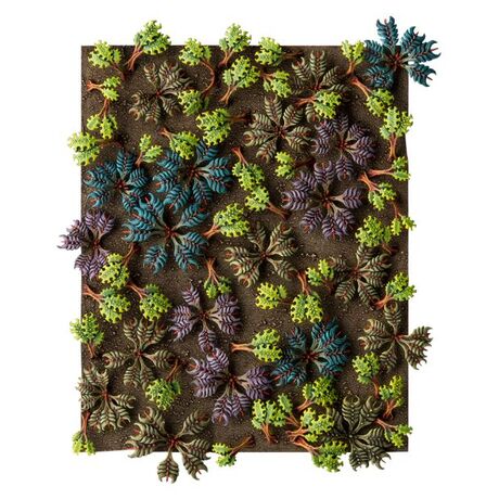 Citadel Barbed Bracken