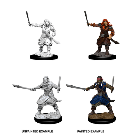 Bandits (Nolzur)