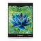 Black Lotus Wall Scroll