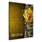 OUTCASTS FACTION BOOK