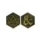 Dungeons & Dragons Limited Edition Coin