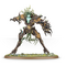 Sylvaneth: Drycha Hamadreth D.O.