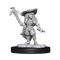 Gnome Female Bard (Pathfinder)
