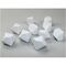 Opaque White D12 Blank