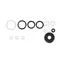Sealing Kit Complete CR Plus, for EVOLUTION CR Plus [123911]