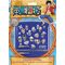 One Piece Magnet Set