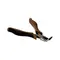GF9 - Needle Nose Pliers