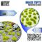Grass Tufts XXL 2MM Realistic Green