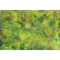 Grass Plain Gaming Mat - 3'x3' 2.0
