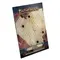 Pathfinder Flip-Mat: Ballroom