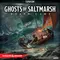 D&D Ghosts of Saltmarsh Boardgame