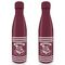Harry Potter Classic Crest Burgundy Stripes Metal Bottle 550ml