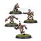 Blood Bowl: Goblins