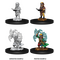 Male Gnome Sorcerer (Pathfinder)